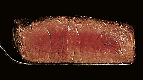 Steak rare medium Garstufe